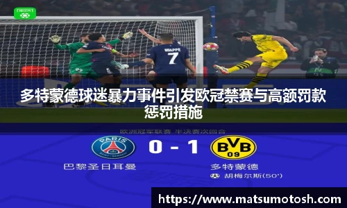 多特蒙德球迷暴力事件引发欧冠禁赛与高额罚款惩罚措施